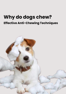 Effective Anti-Chewing Techniques